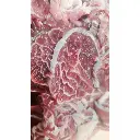 Khoanh Bắp Giò Trước APK- Mã Cân