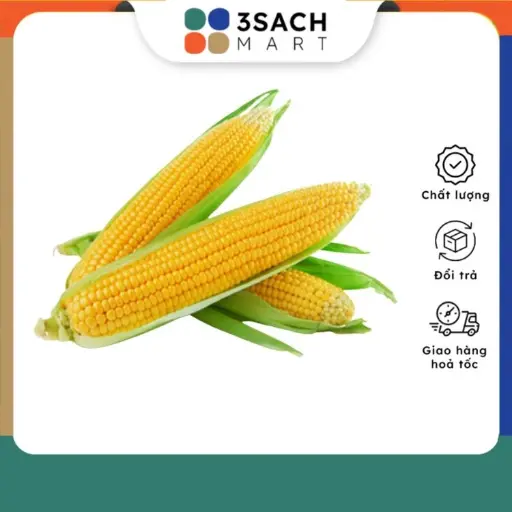 [CV0071GN-VAR] Bắp Mỹ (theo trái)