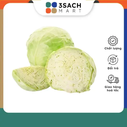 [CV0077GN-05] Bắp Cải Tím - Bịch 5KG